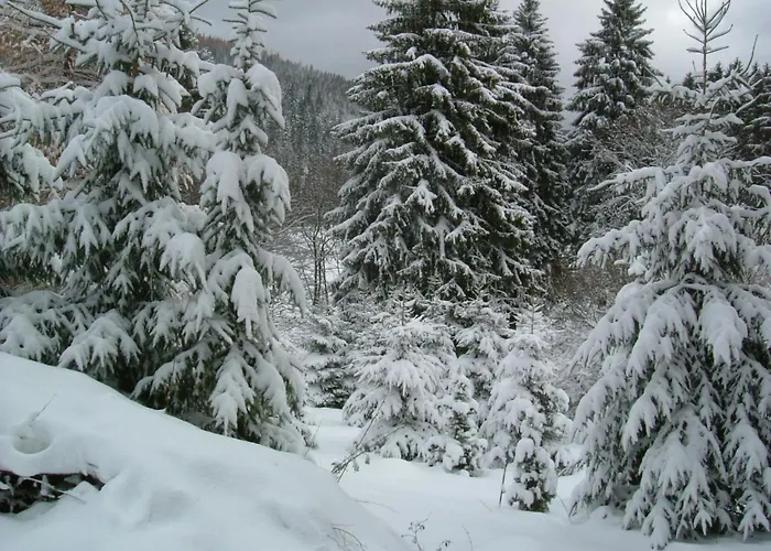Waldhaus, Ski- Und Wanderhuette