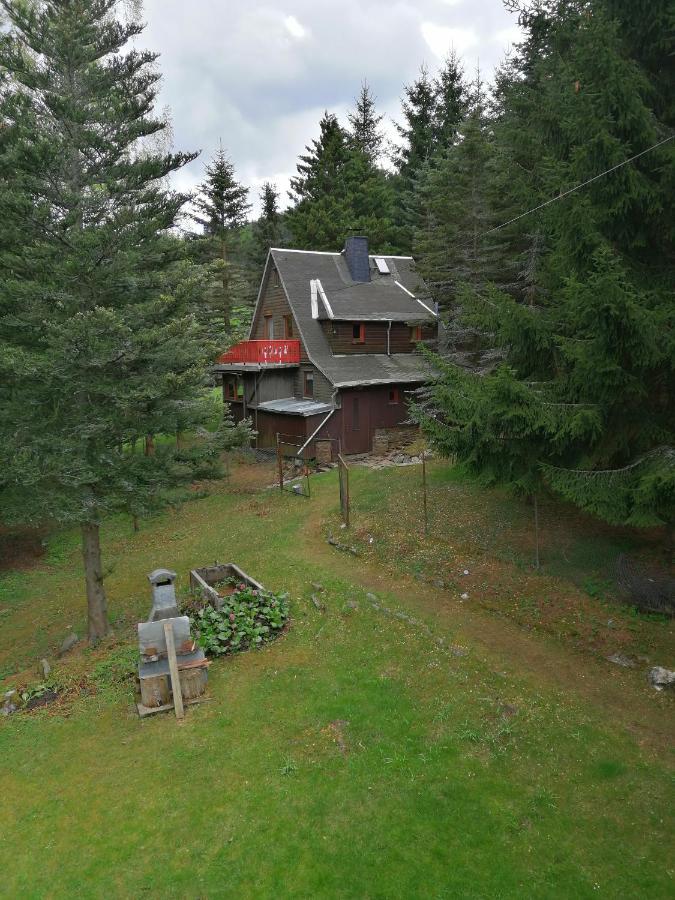 Apartment Waldhaus, Ski- Und Wanderhuette *