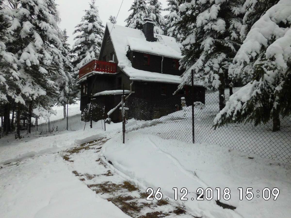 Waldhaus, Ski- Und Wanderhuette Apartment Breitenbrunn (Saxony)
